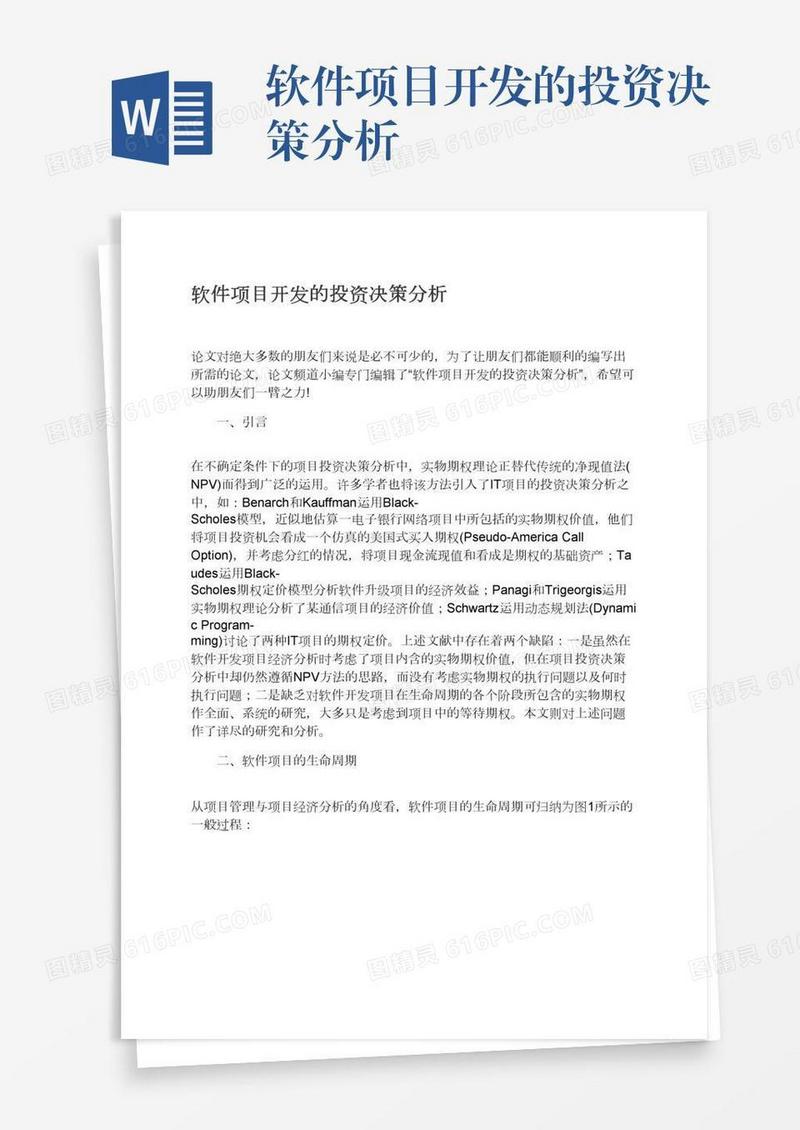 软件项目开发的投资决策分析