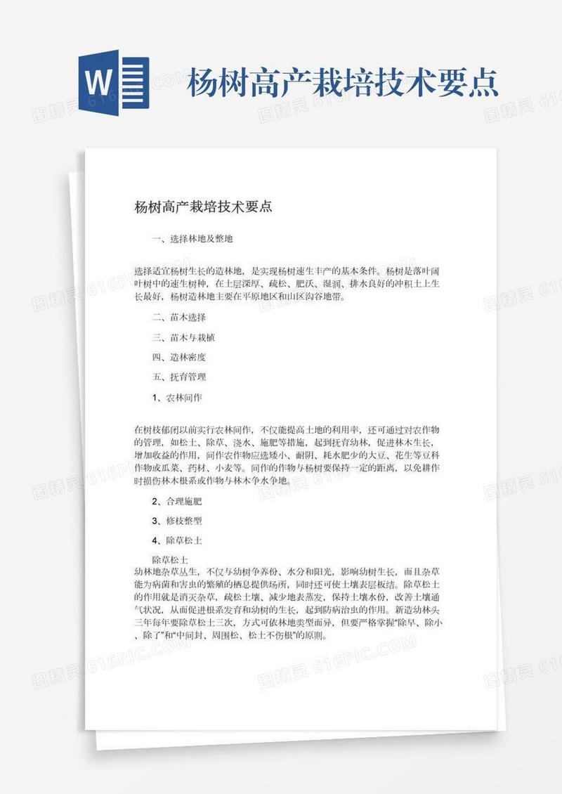 杨树高产栽培技术要点