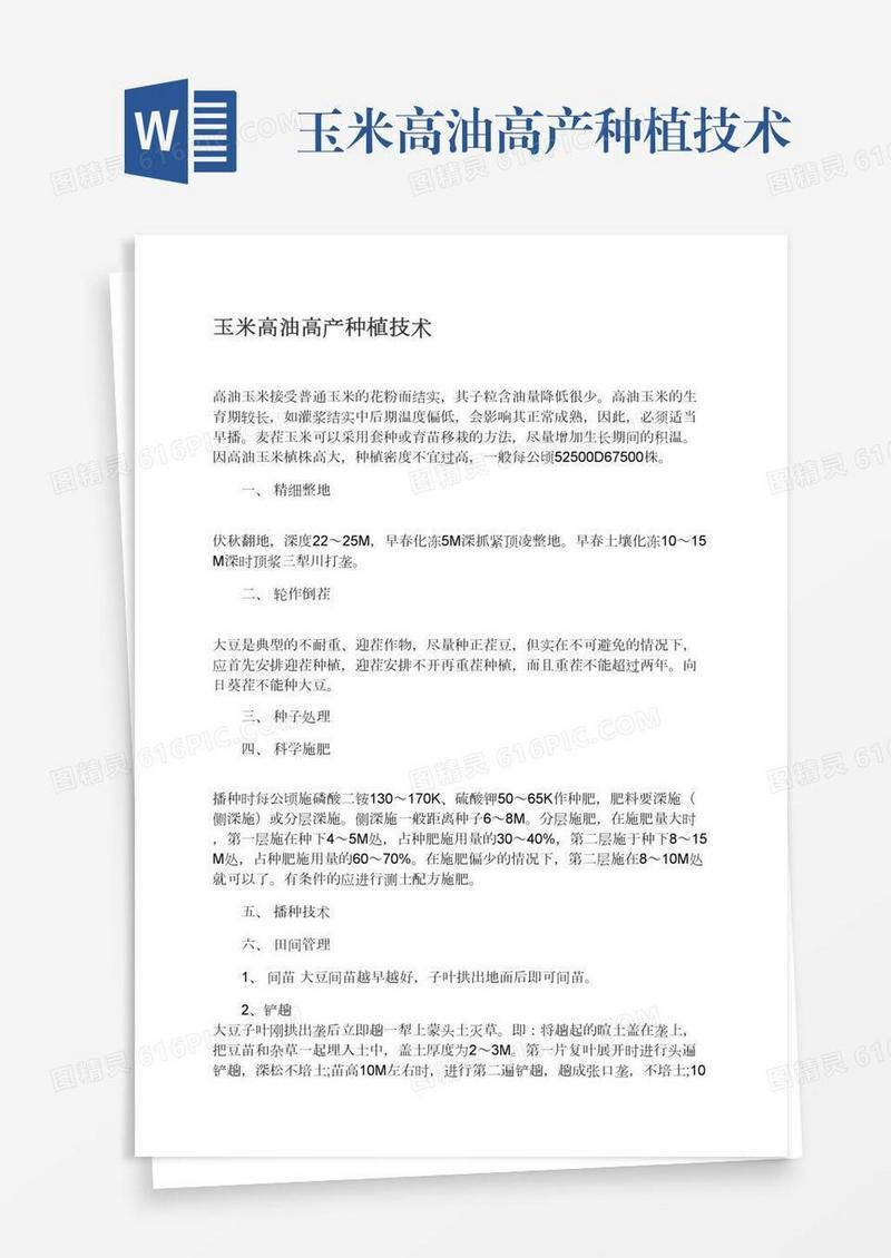 玉米高油高产种植技术