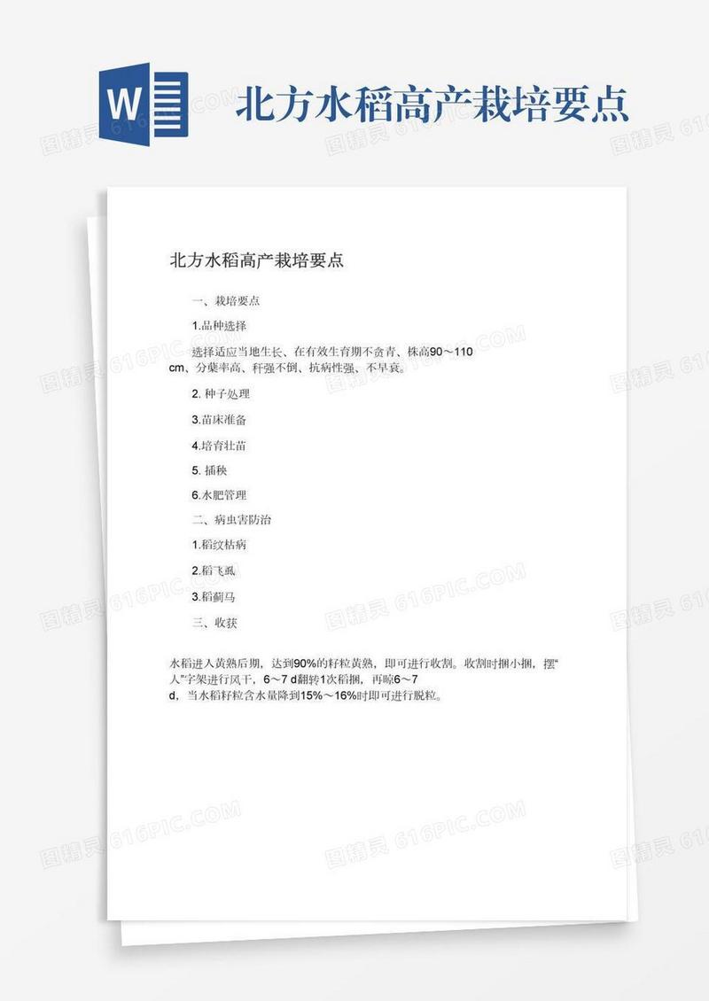 北方水稻高产栽培要点