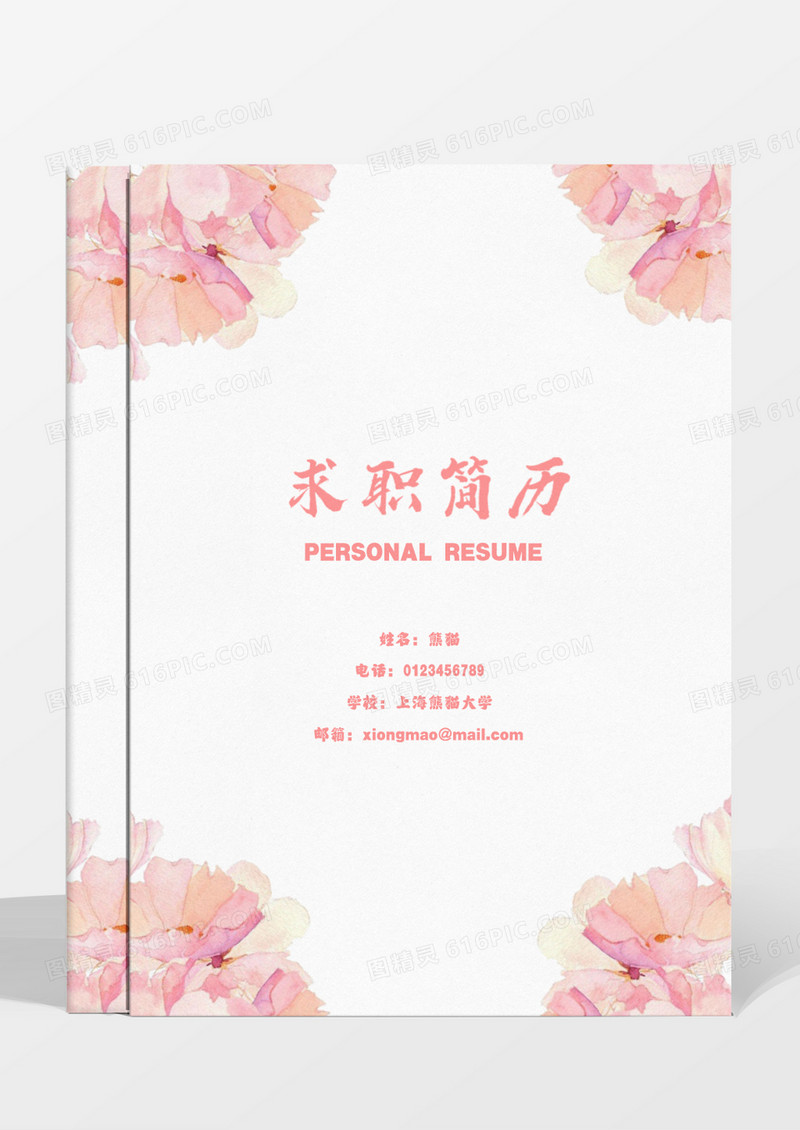 清新唯美粉色人力行政代表销售文员word简历模板
