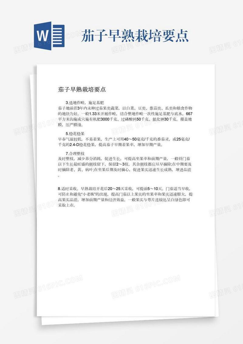 茄子早熟栽培要点