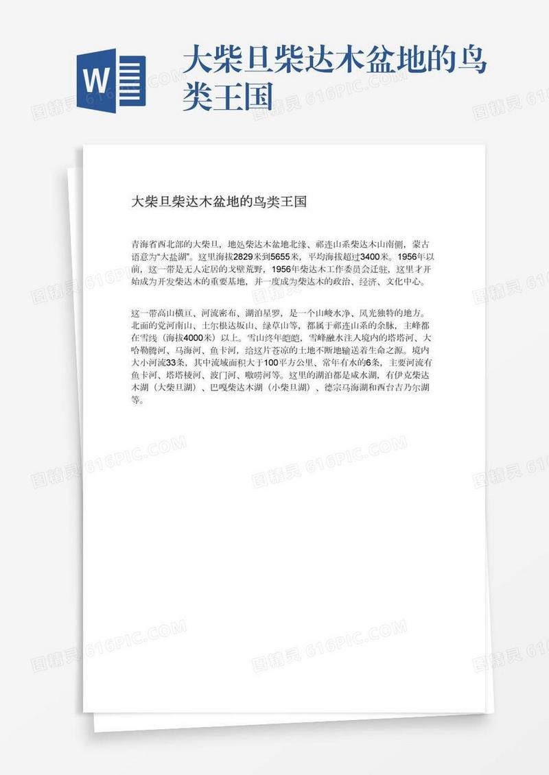 大柴旦柴达木盆地的鸟类王国