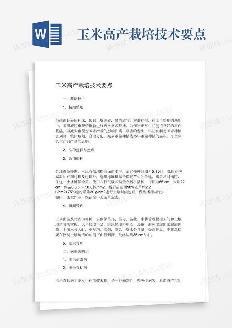玉米高产栽培技术要点
