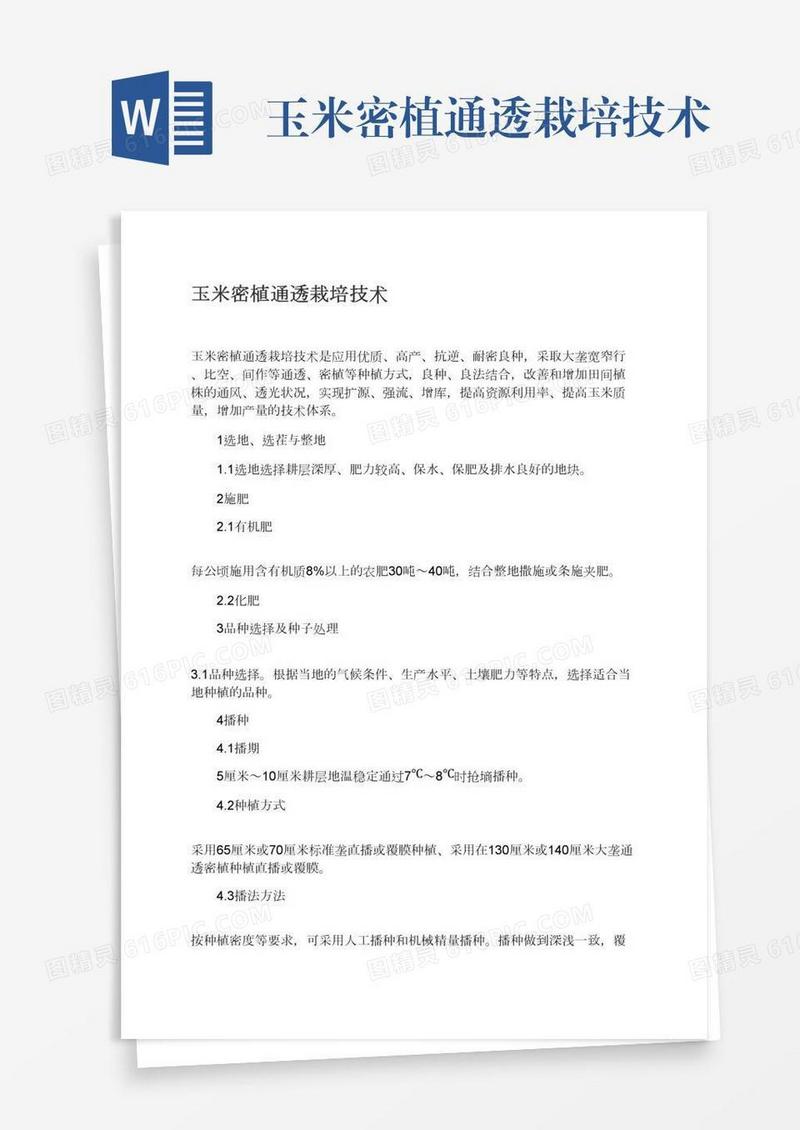 玉米密植通透栽培技术