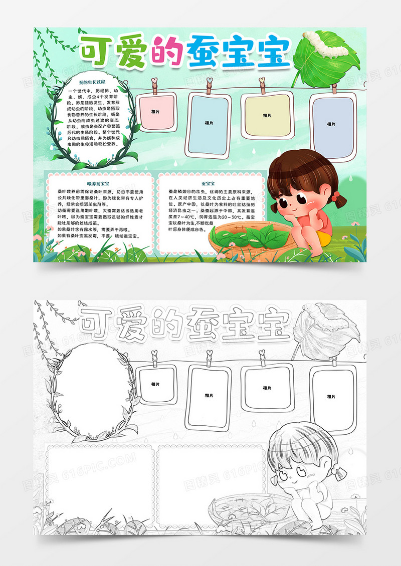 可爱的蚕宝宝观察日记