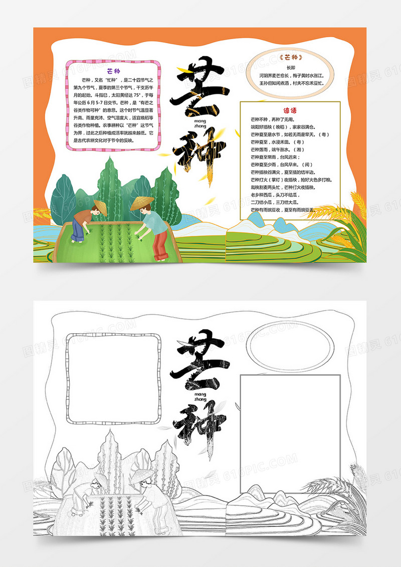 卡通芒种小报节气小报