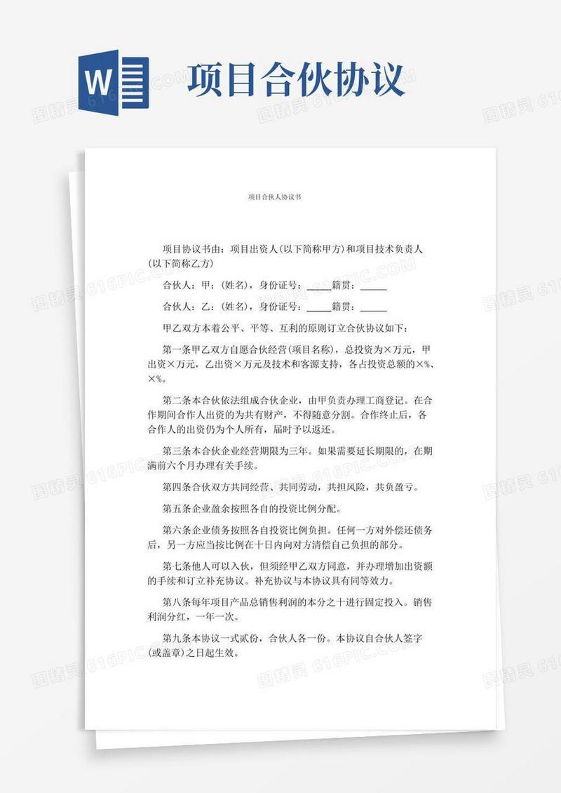 项目合伙人协议书标准版