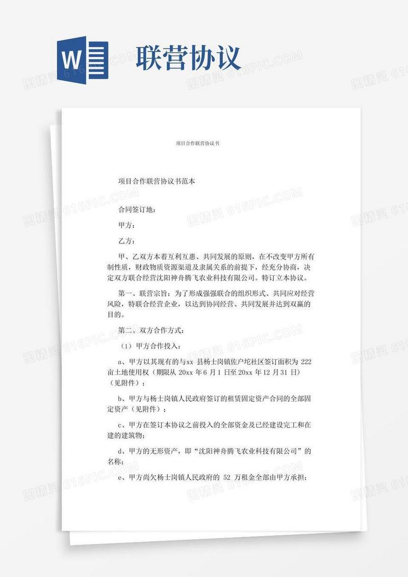 项目合作联营协议书完整版