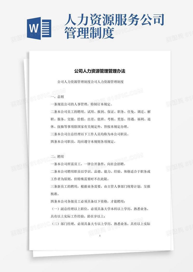 好用的公司人力资源管理管理办法