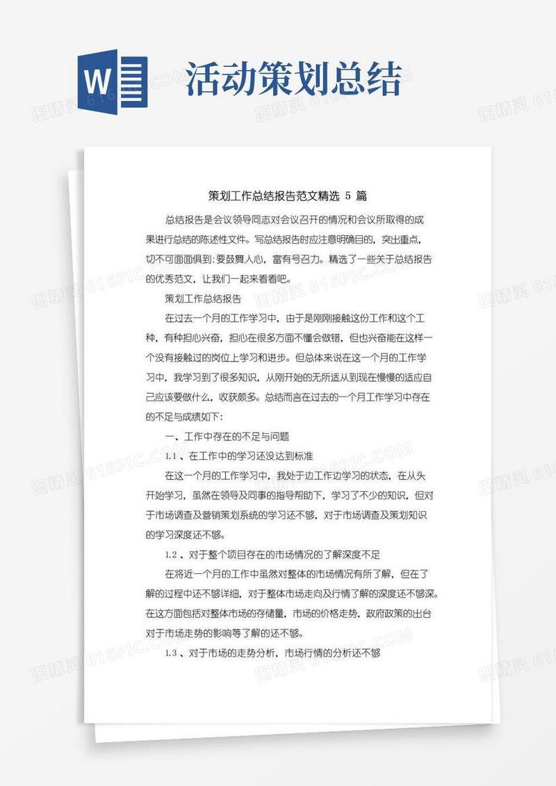 大气版策划工作总结报告范文精选5篇