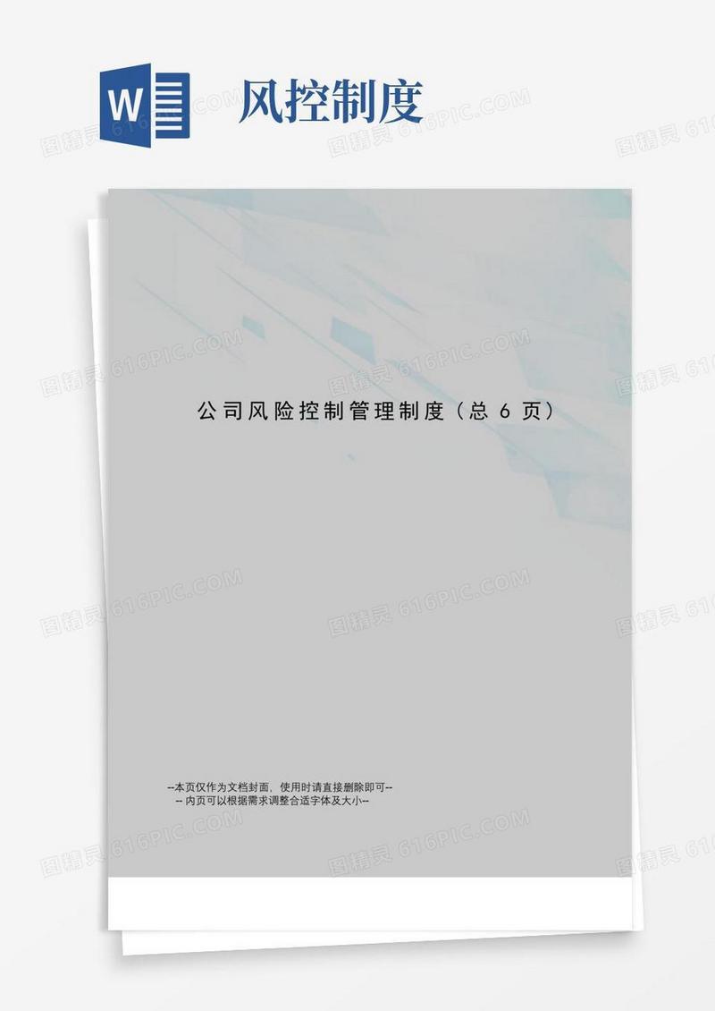 大气版公司风险控制管理制度