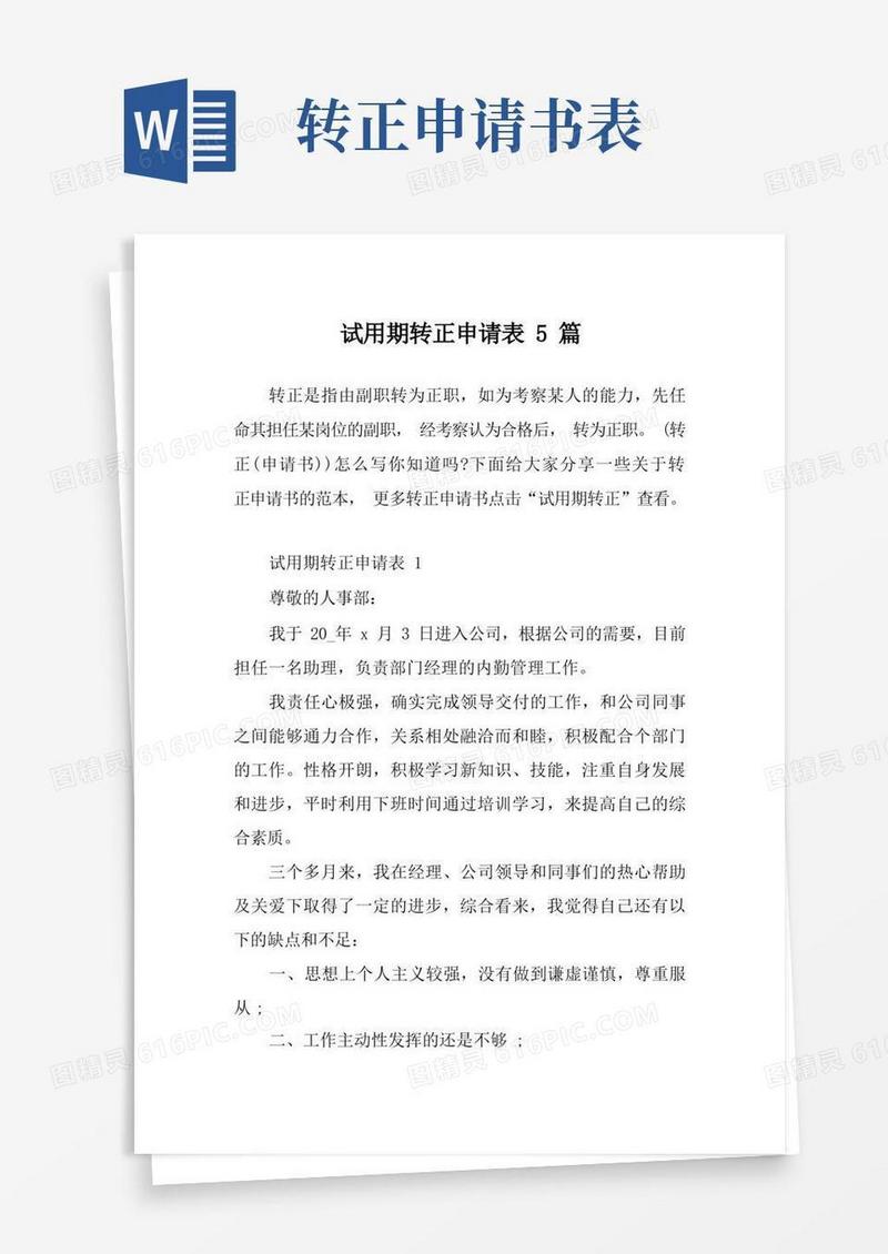 实用的试用期转正申请表5篇