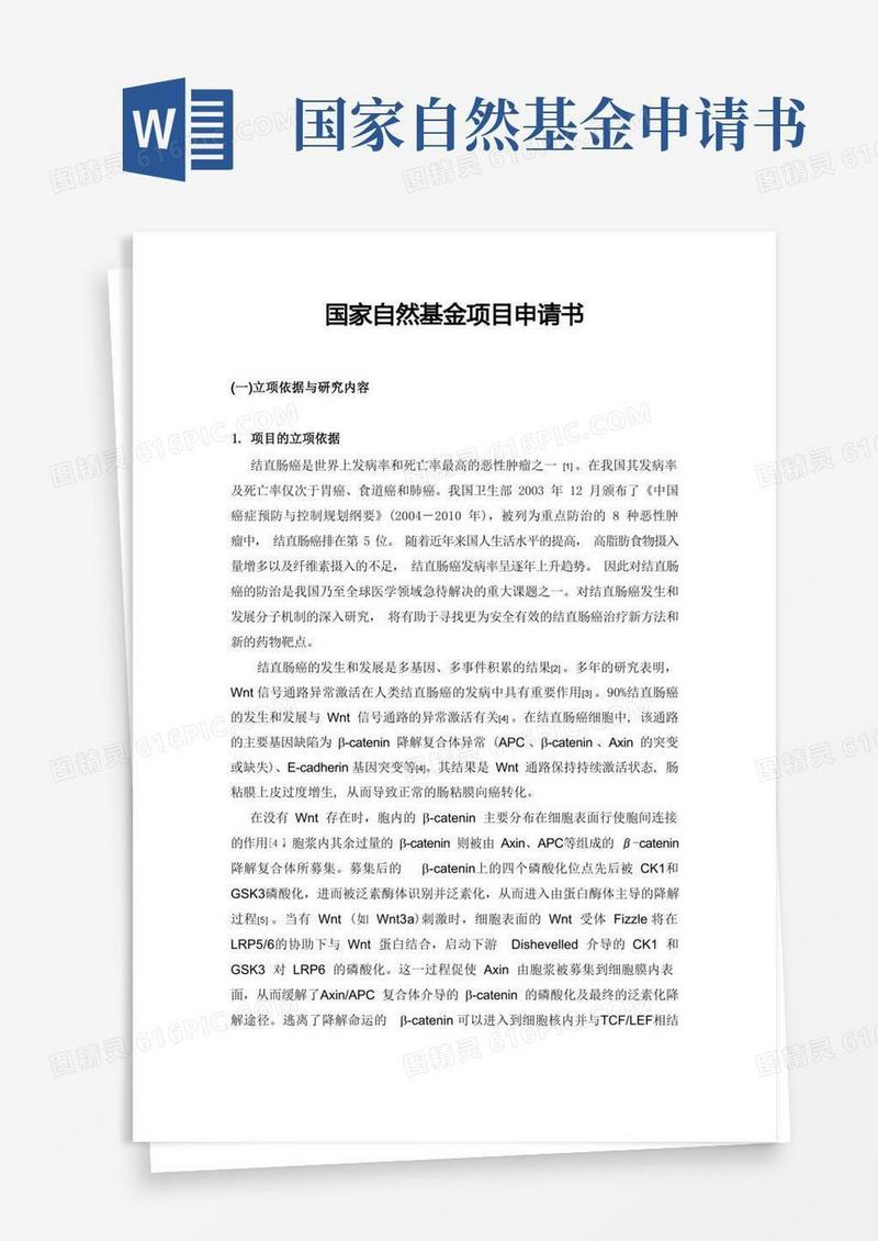 大气版国家自然基金项目申请书
