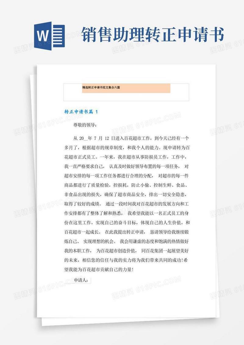 好用的精选转正申请书范文集合六篇