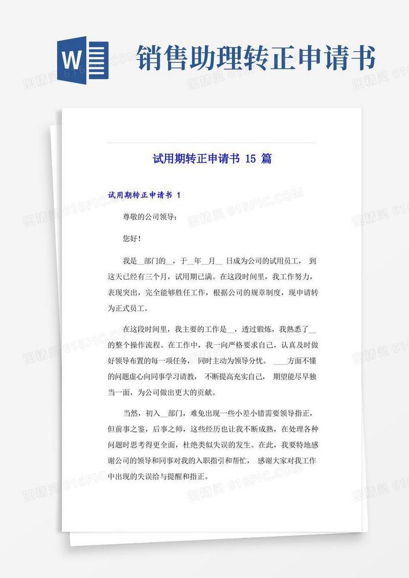 简洁的试用期转正申请书15篇