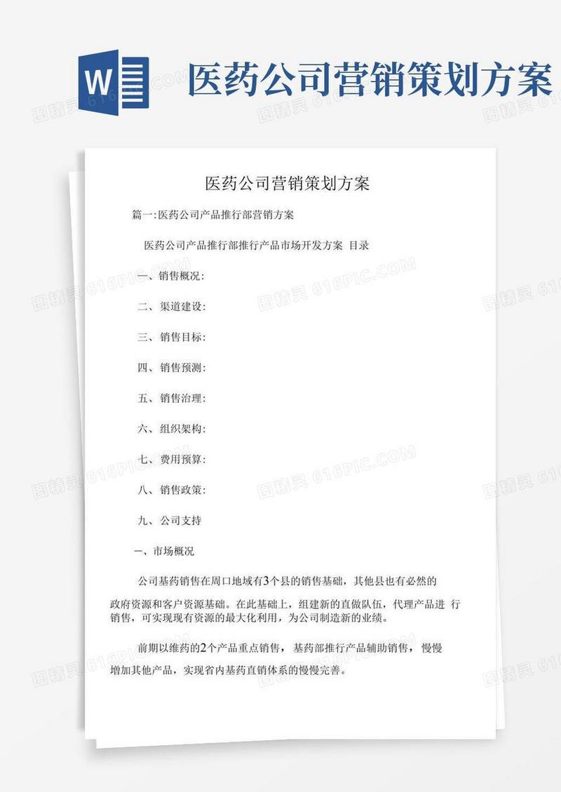 实用的医药公司营销策划方案