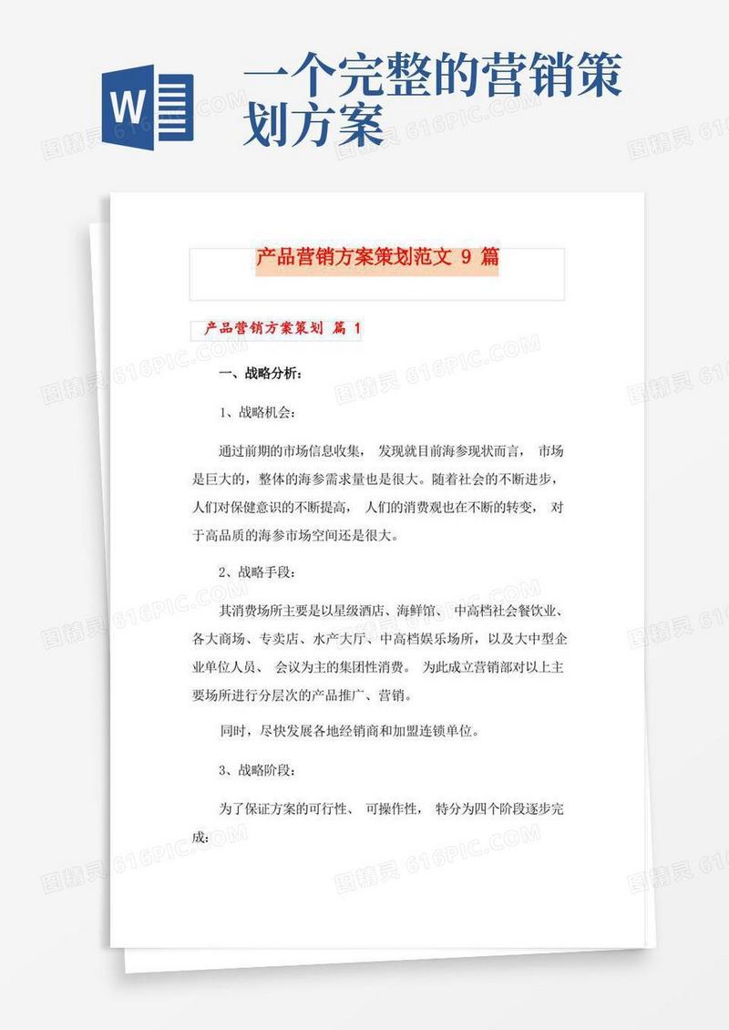 大气版产品营销方案策划范文9篇
