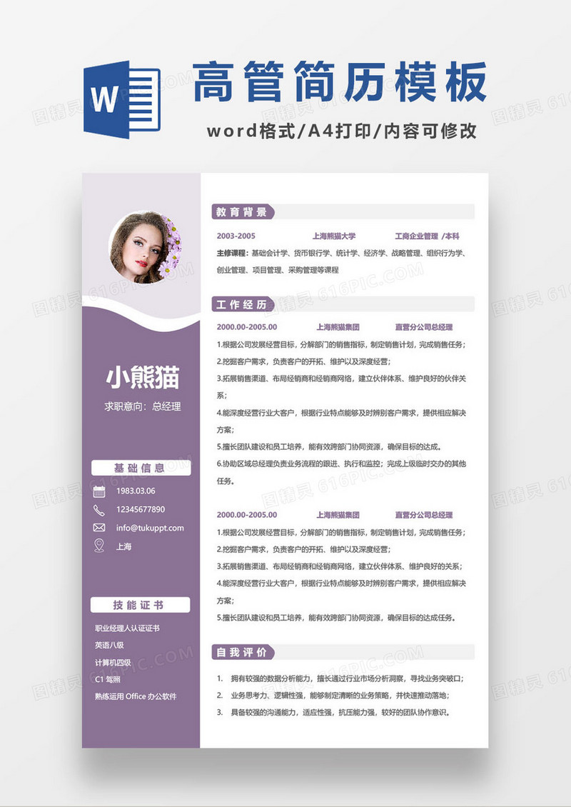简约企业公司总经理求职简历模板