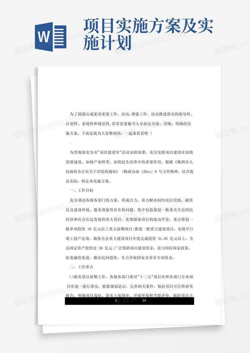 实用的项目实施方案及计划.doc