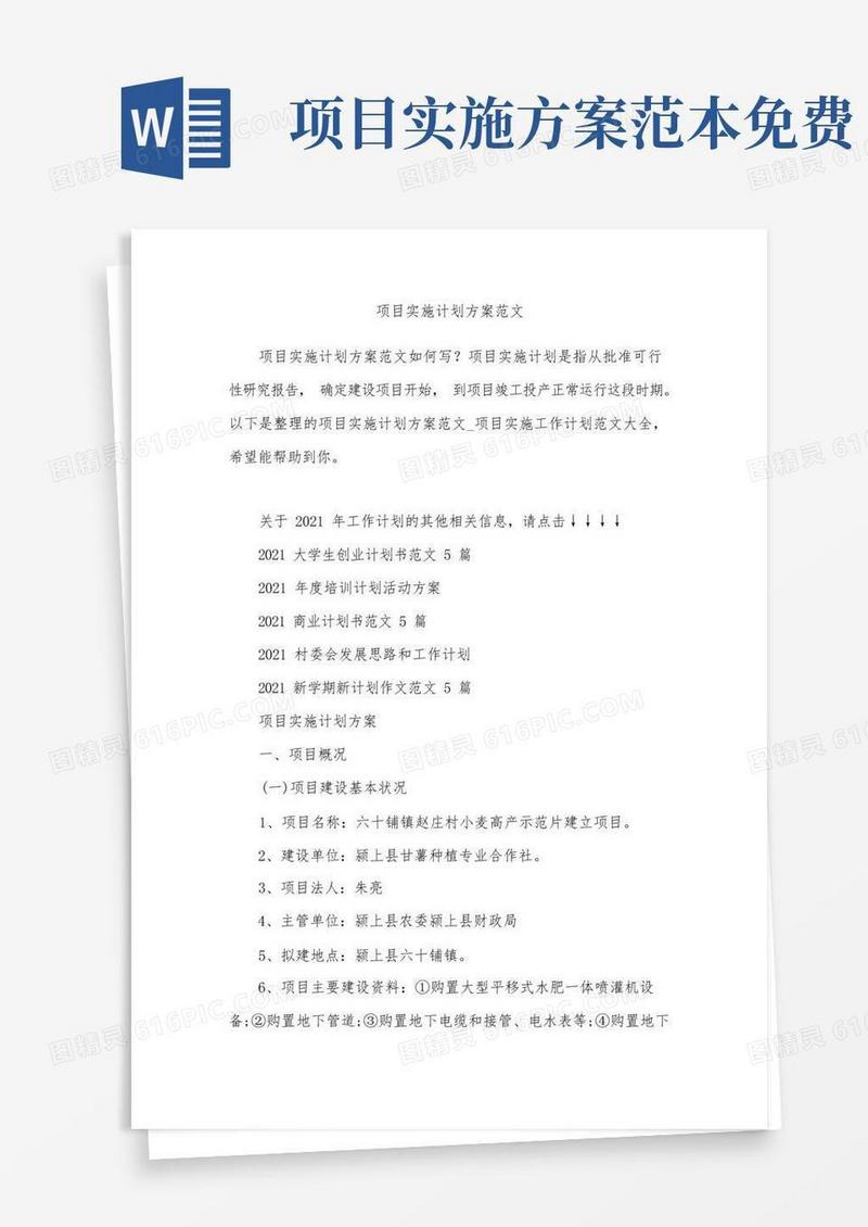 大气版项目实施计划方案范文