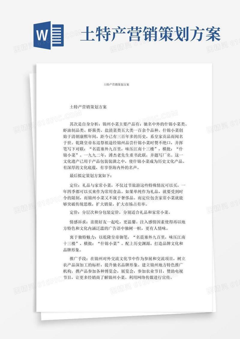 简洁的土特产营销策划方案