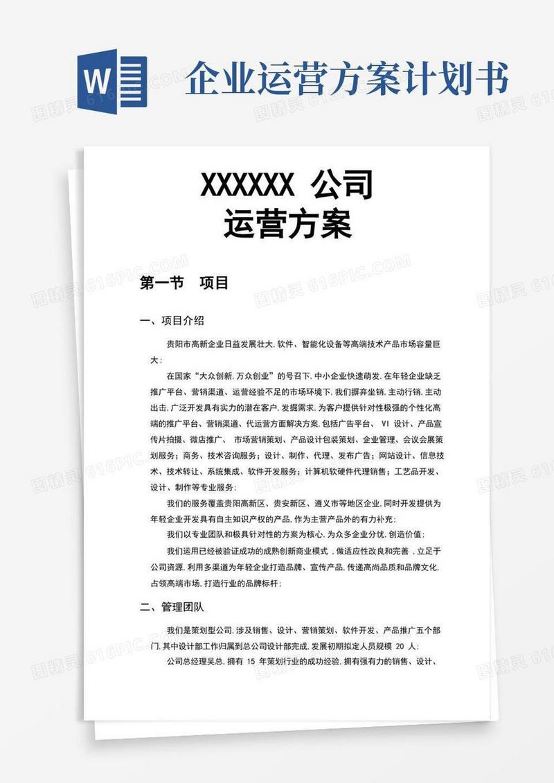 大气版新公司运营计划书