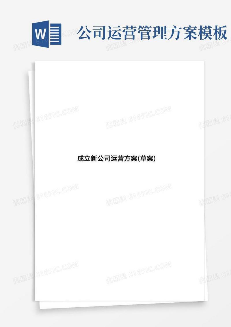 大气版成立新公司运营方案(草案)模板