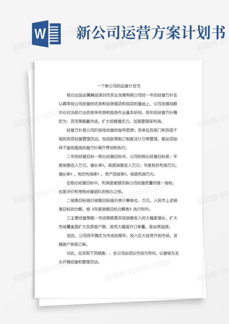 简洁的一个新公司的运营计划书