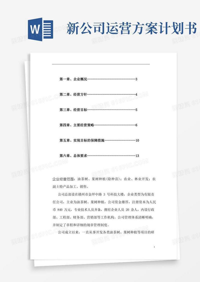 方便的公司运营计划书