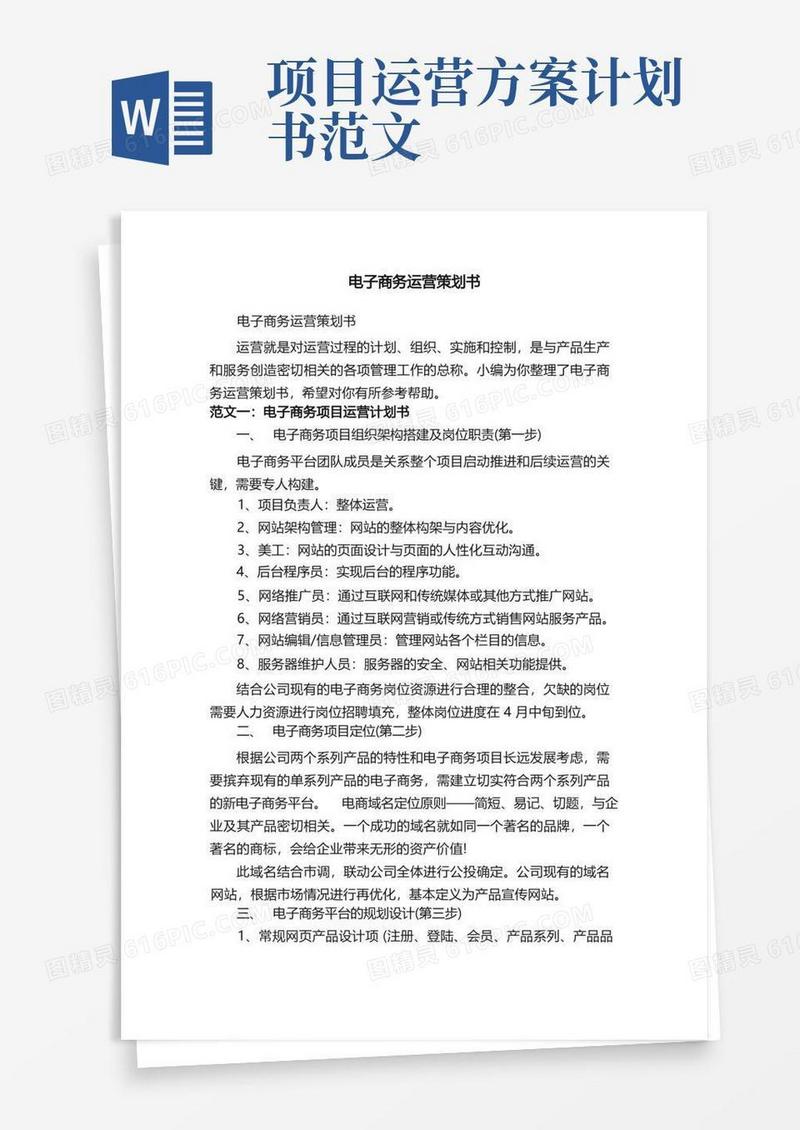通用版电子商务运营策划书