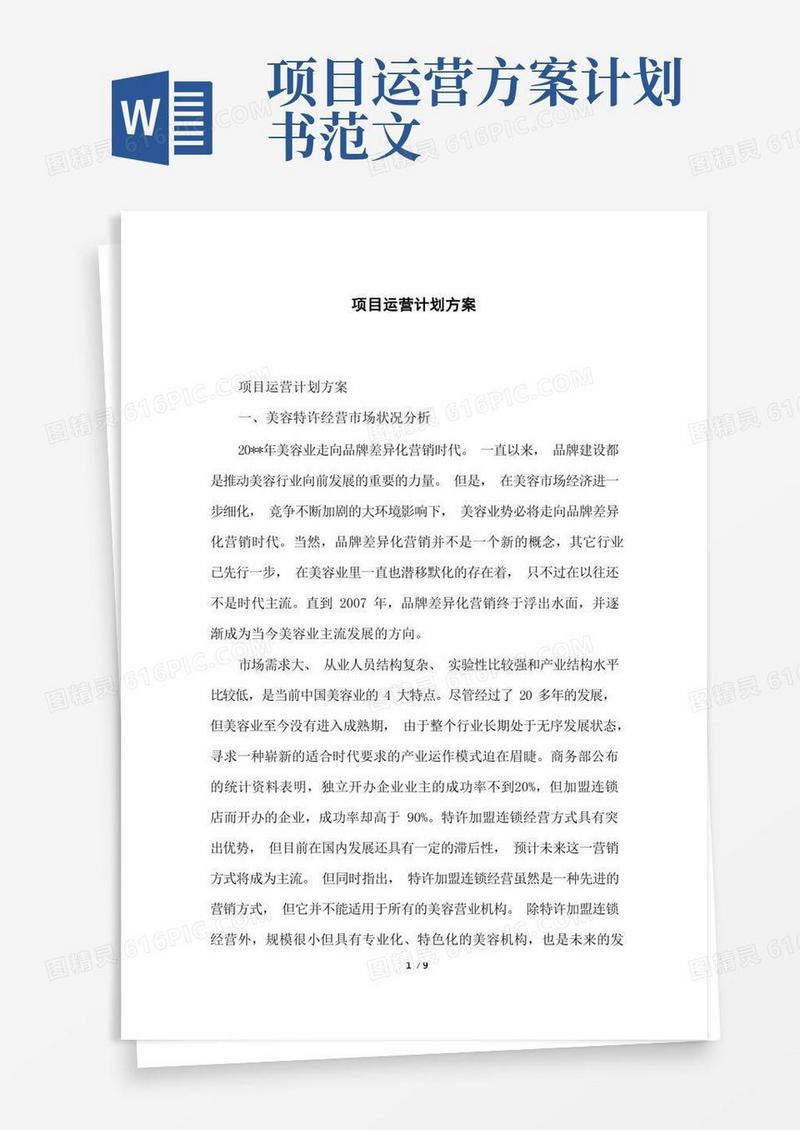 大气版项目运营计划方案