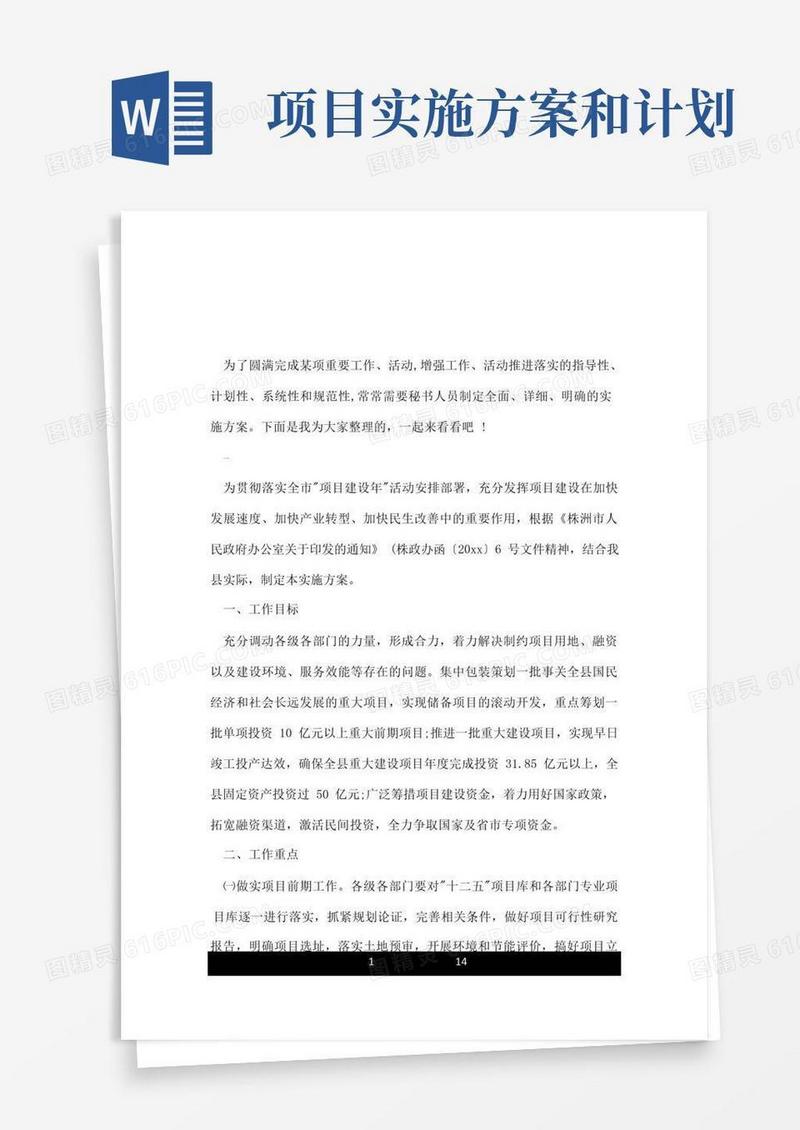 通用版项目实施方案及计划.doc