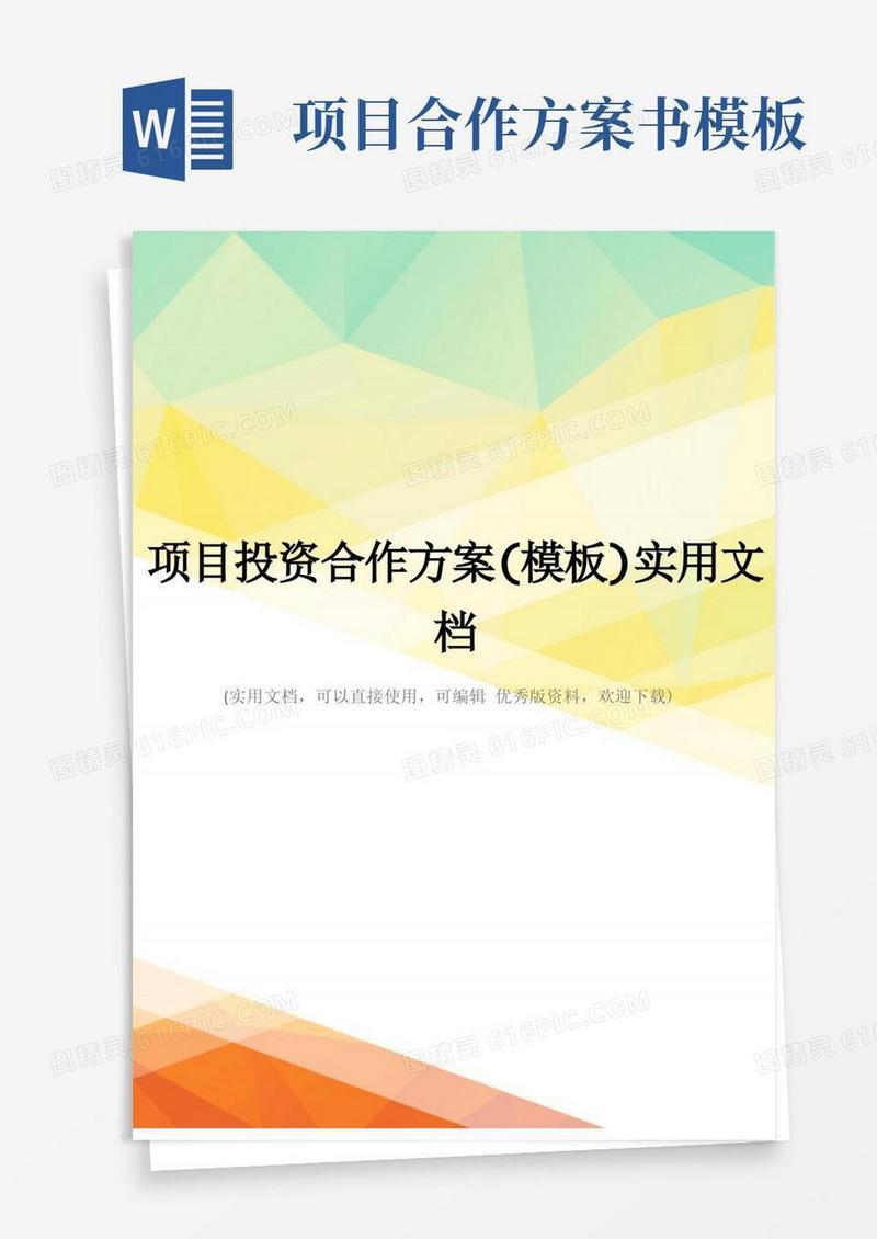 大气版项目投资合作方案(模板)实用文档