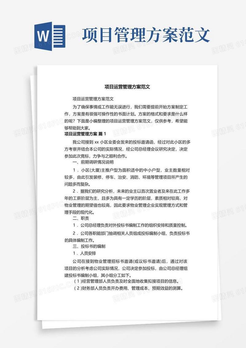 方便的项目运营管理方案范文
