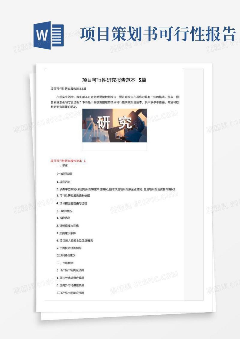大气版项目可行性研究报告范本5篇