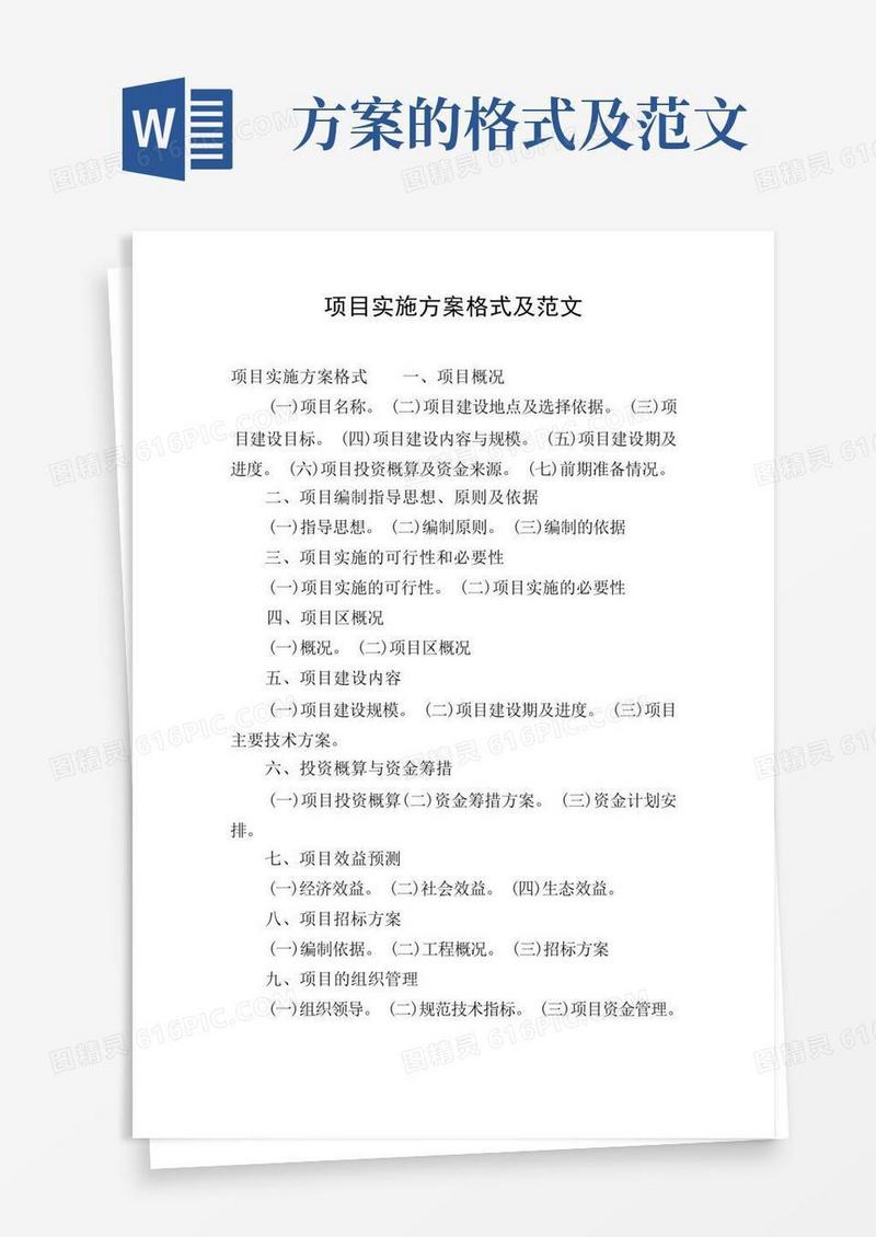 好用的项目实施方案格式及范文