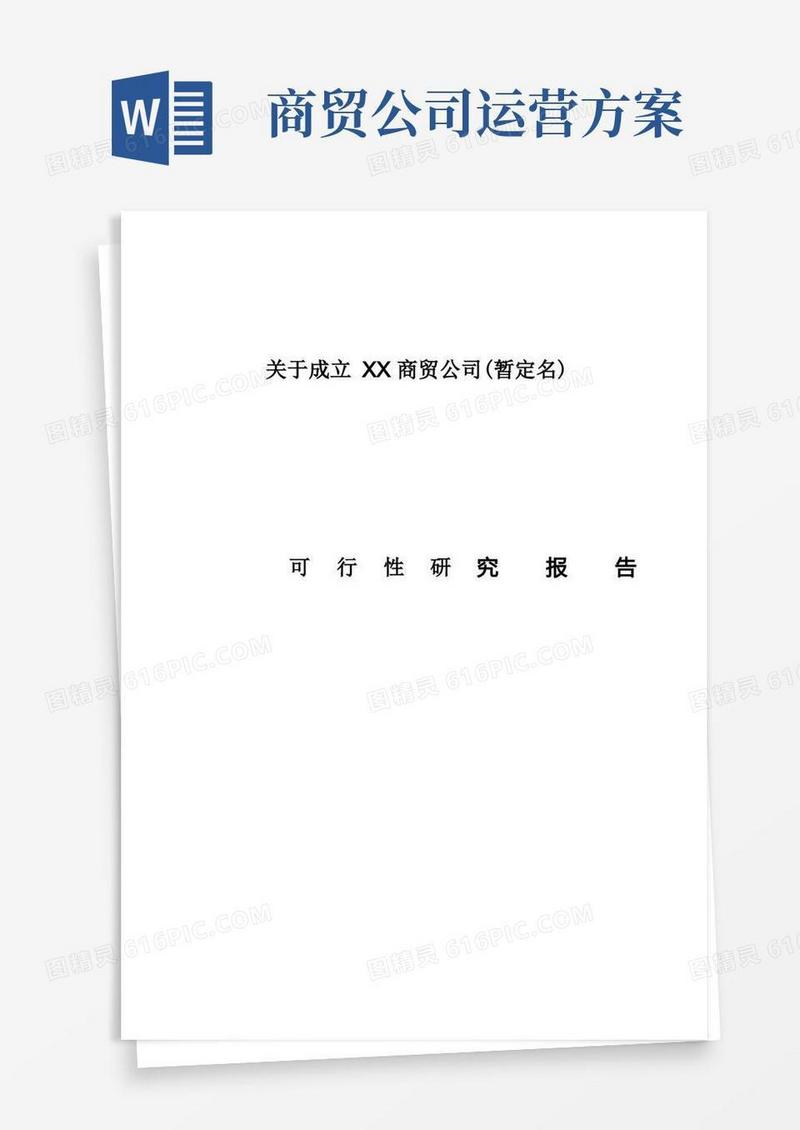大气版商贸公司可行性研究方案