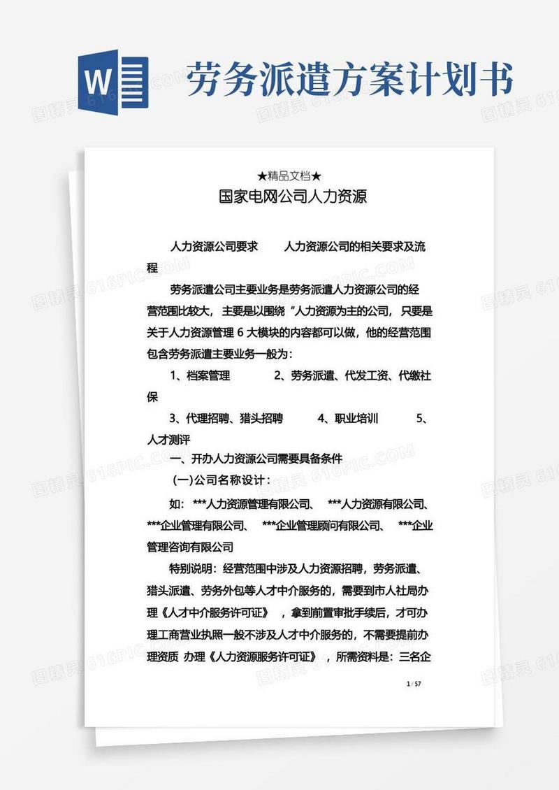 实用的国家电网公司人力资源
