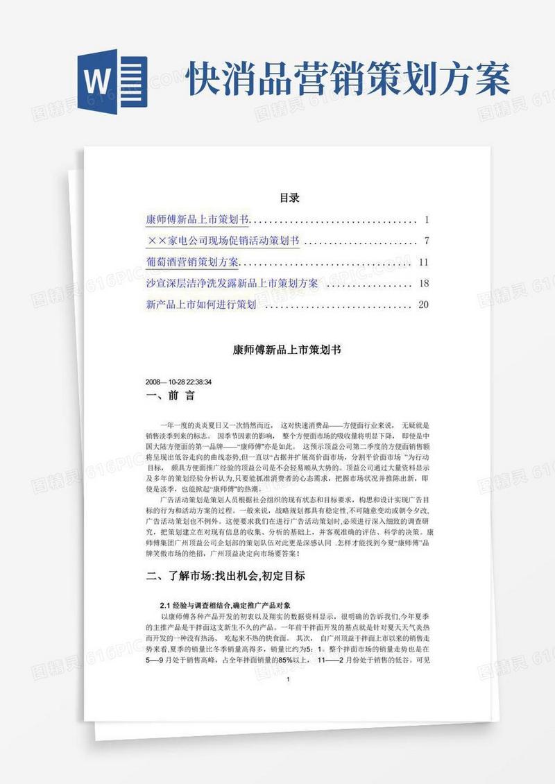 大气版快消品等行业品牌策划方案案例