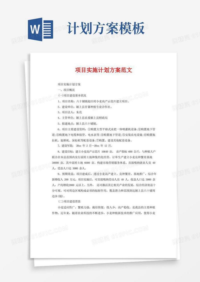 好用的项目实施计划方案范文