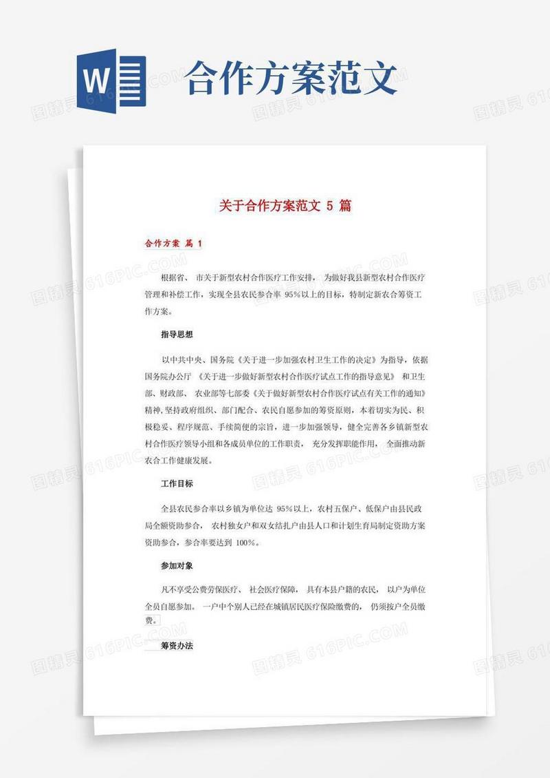 大气版关于合作方案范文5篇