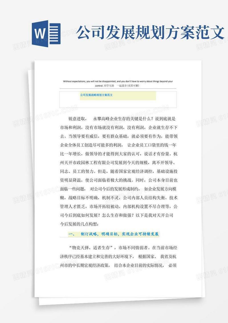 方便的公司发展战略规划方案范文