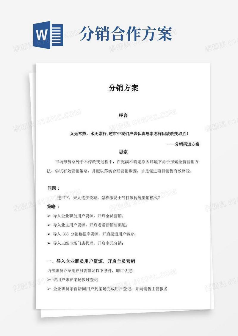 大气版分销专项方案