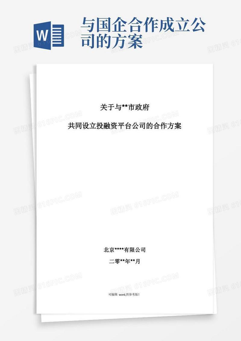 关于共同设立投融资平台公司的合作方案