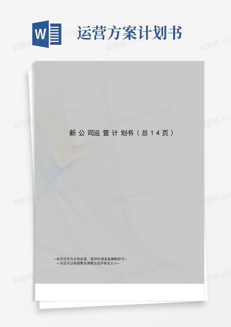 新公司运营计划书
