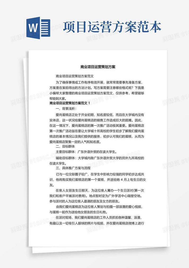 商业项目运营策划方案范文