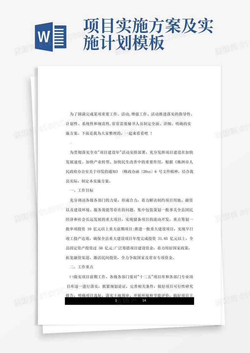 项目实施方案及计划.doc