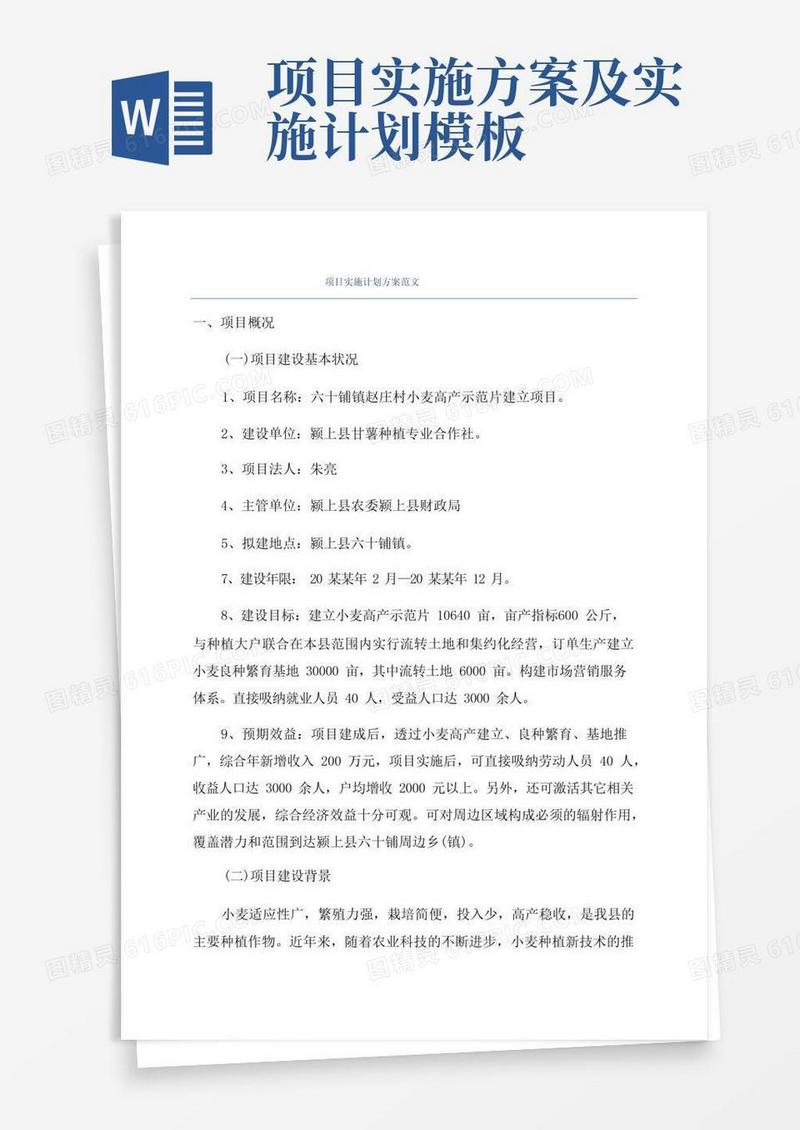 项目实施计划方案范文