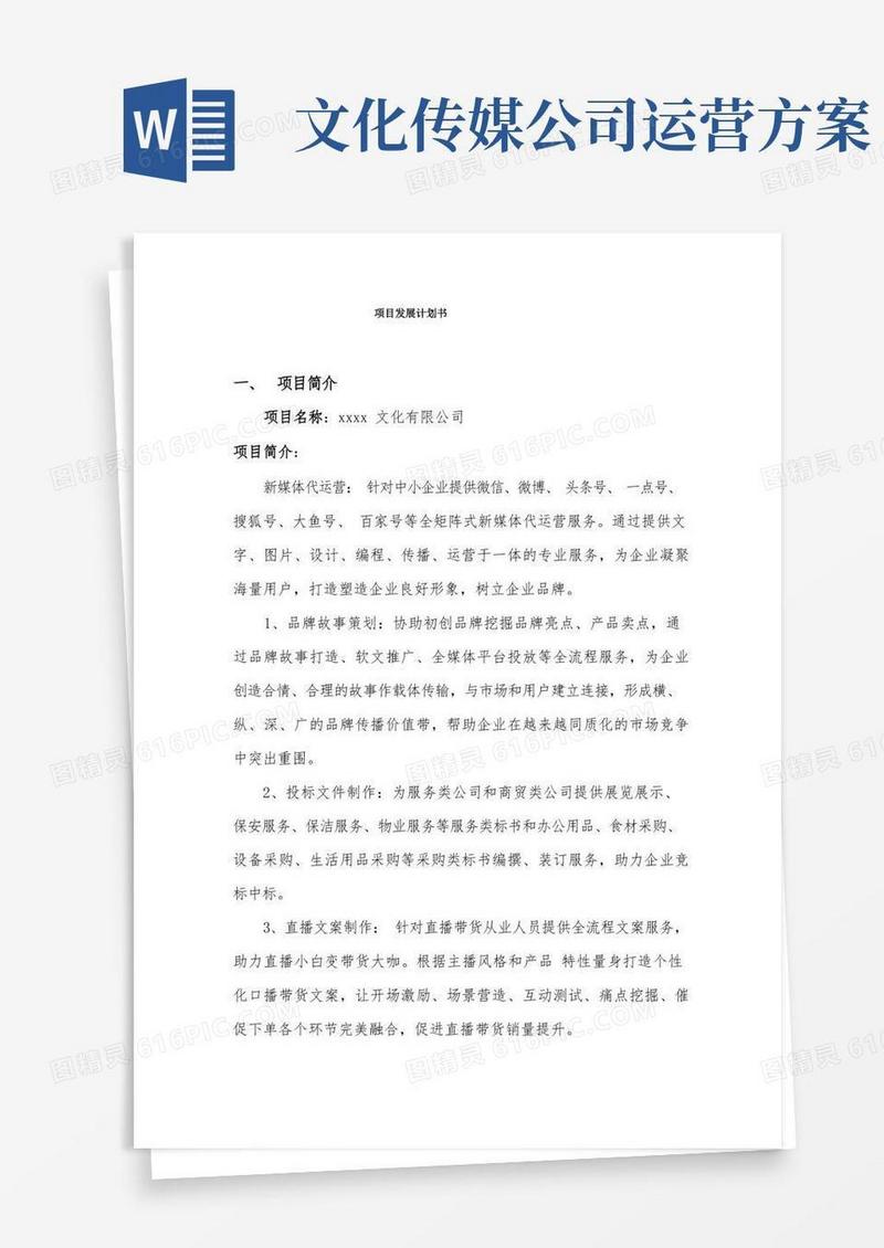 文化传媒公司项目发展计划书